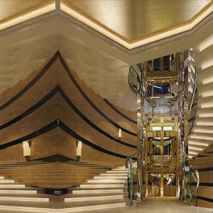 Villa Elevator